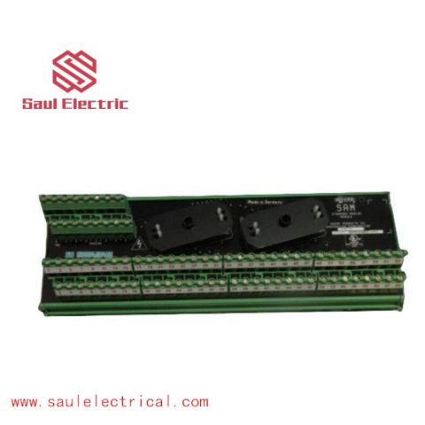 Moore 16169-1-07 SAM Standard Analog Module: Precision Control for Industrial Automation