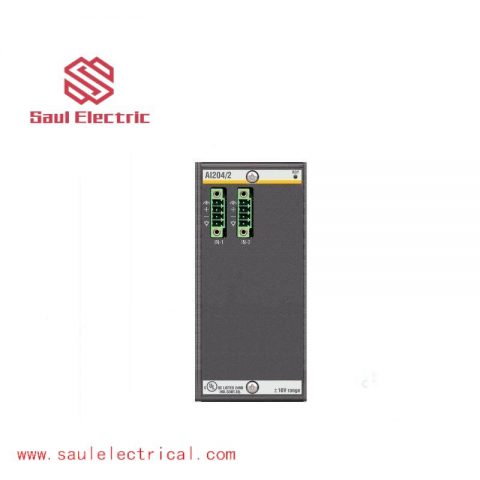 Bachmann AI204/2 Analog Input Module: High Precision 2-Channel Input, 16-bit Resolution