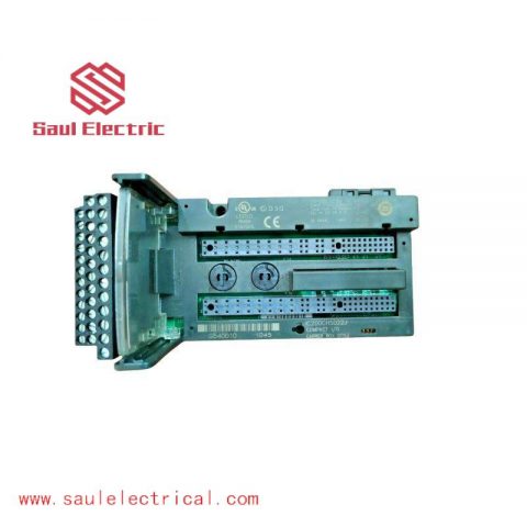 GE IC200CHS022J: Analog Input Module for Industrial Control Solutions