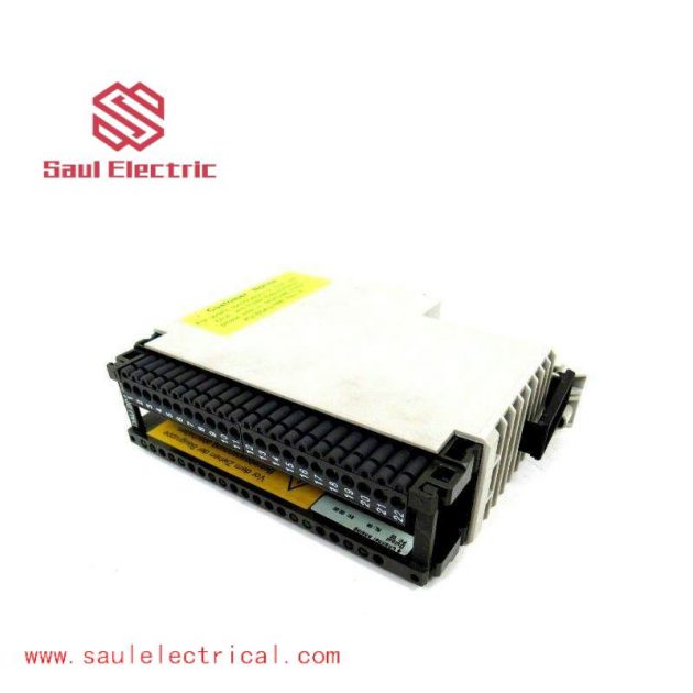 Schneider Electric AS-BDAU-204 Analog Output Module - Industrial Control Precision