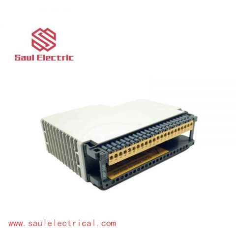 Schneider AS-BDEP-208 Discrete Input/Output Module, for Advanced Automation Solutions